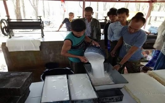 Xuất khẩu cao su tại Myanmar tăng gần 50% nhờ kiểm soát được hoạt động xuất khẩu bất hợp pháp 